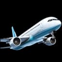 Flight Bookings
